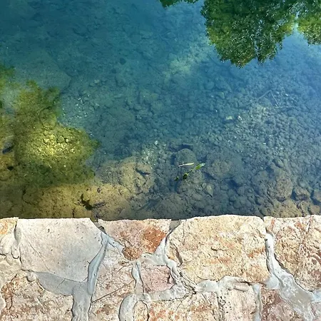 Trebizat Nature * Чаплина